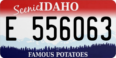ID license plate E556063