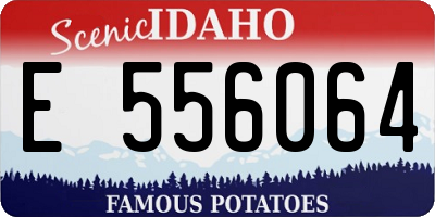 ID license plate E556064