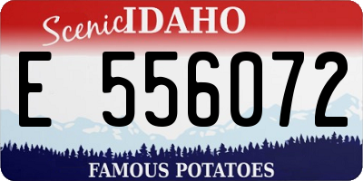 ID license plate E556072