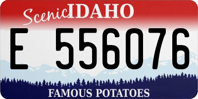 ID license plate E556076