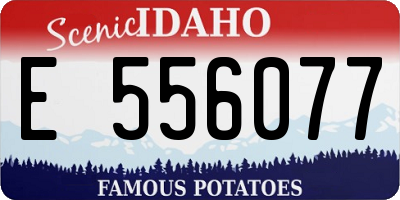 ID license plate E556077