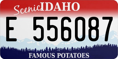ID license plate E556087