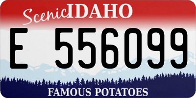 ID license plate E556099