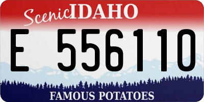 ID license plate E556110
