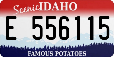 ID license plate E556115