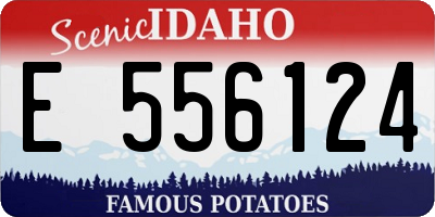 ID license plate E556124