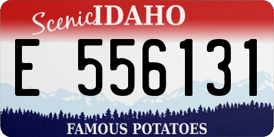 ID license plate E556131