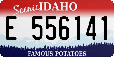 ID license plate E556141