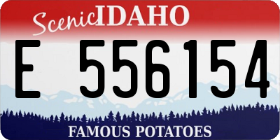 ID license plate E556154