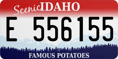 ID license plate E556155
