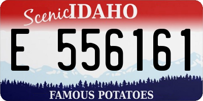 ID license plate E556161