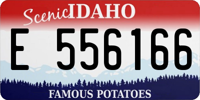 ID license plate E556166