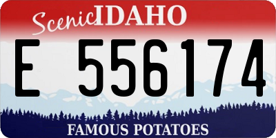 ID license plate E556174