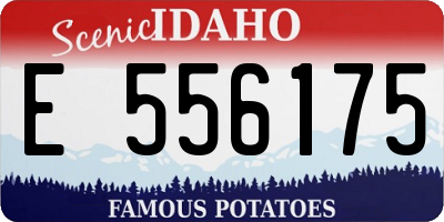 ID license plate E556175