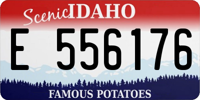 ID license plate E556176