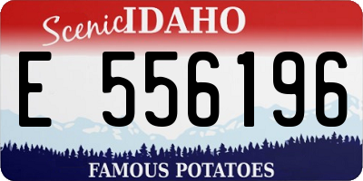 ID license plate E556196