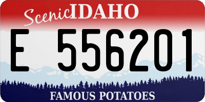 ID license plate E556201