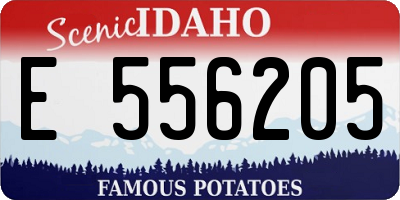 ID license plate E556205