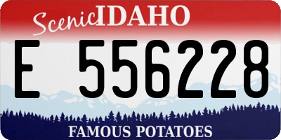 ID license plate E556228