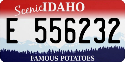 ID license plate E556232