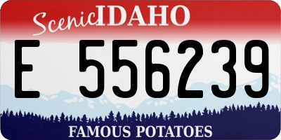 ID license plate E556239