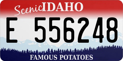 ID license plate E556248