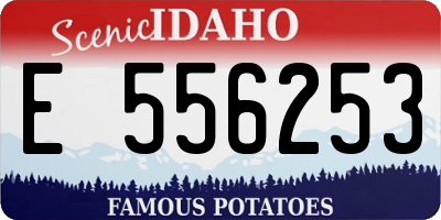 ID license plate E556253