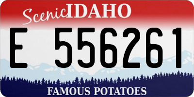 ID license plate E556261