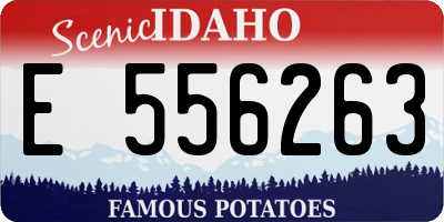 ID license plate E556263