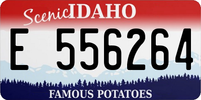 ID license plate E556264