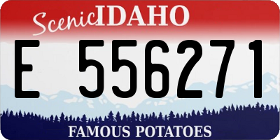 ID license plate E556271