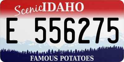 ID license plate E556275