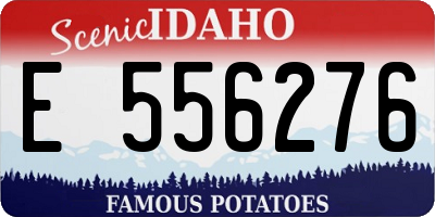 ID license plate E556276