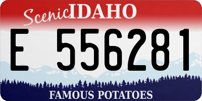 ID license plate E556281