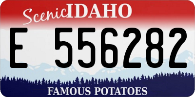 ID license plate E556282