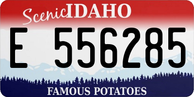 ID license plate E556285