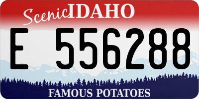 ID license plate E556288