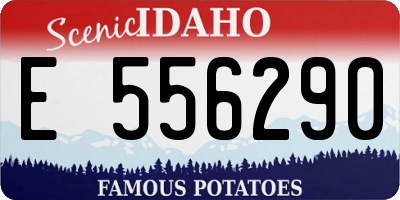 ID license plate E556290
