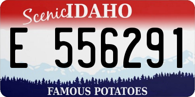 ID license plate E556291