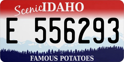 ID license plate E556293