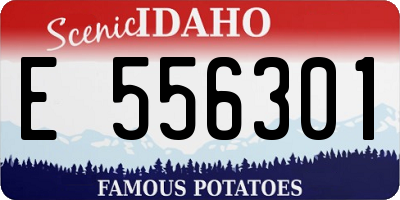 ID license plate E556301