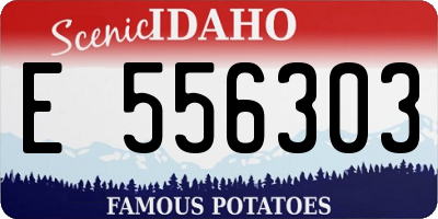 ID license plate E556303