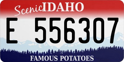 ID license plate E556307