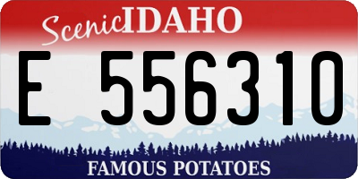 ID license plate E556310