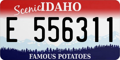 ID license plate E556311