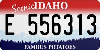 ID license plate E556313