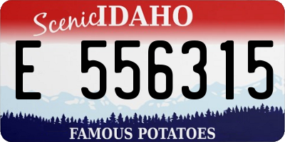 ID license plate E556315
