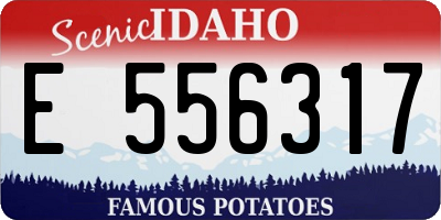 ID license plate E556317