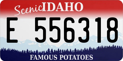 ID license plate E556318