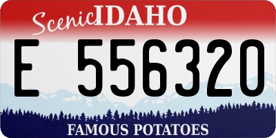 ID license plate E556320